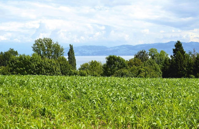 Holiday Park, Immenstaad - Foto 64