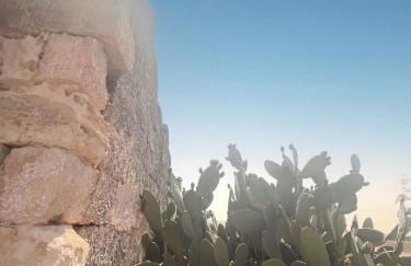 Terrarossa Salento Luxury Home - Foto 33