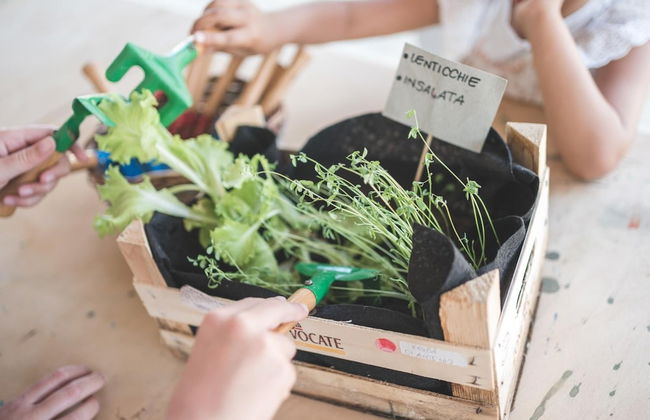 Fattoria Didattica La Collina Incantata - Photo 27