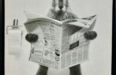 Iron Bound Gem - Foto 23