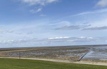 Appartement 1 mit Küche und neuem Bad, frisch saniert - Foto 27