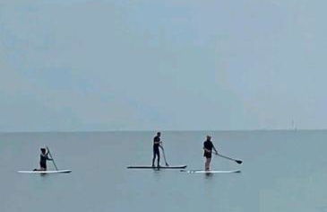 The Salty Bee - Photo 19