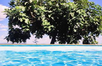 Lagarto Pintado Casa n'Aldeia - Foto 160