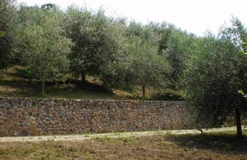 Tenuta Fortelongo - Foto 114