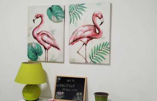 App - Il Fenicottero con parcheggio gratuito ad Orbetello - Foto 12