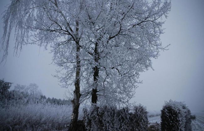 Cottage Near Bourtange With Hot Tub - Foto 38