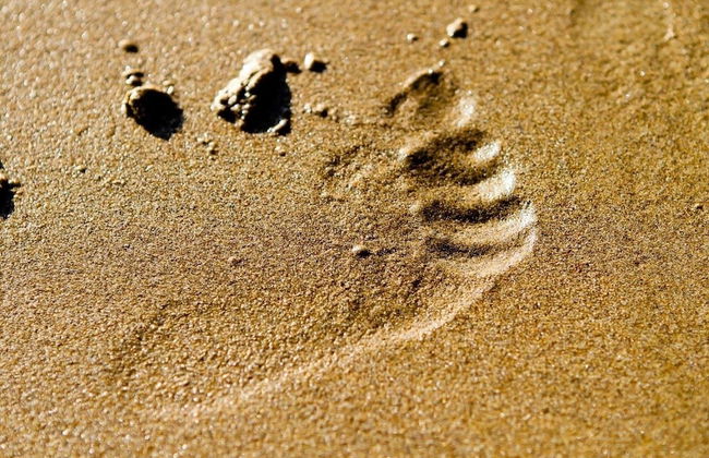 Sea Breeze Apartment Near the Eden Project - Foto 7