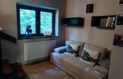 FORREST DOM w LESIE - Foto 8