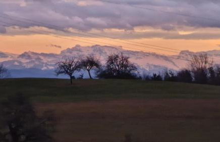 Ferienhaus Hombergshalden - Foto 29