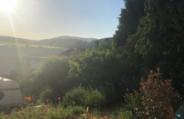 Angekommen - Foto 29