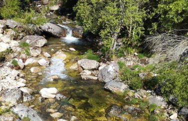 A Beira da Cortella - Foto 19