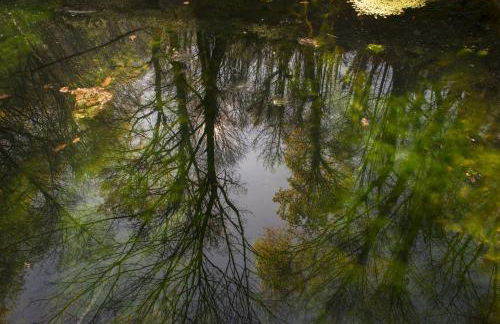 Quinta do Fontelo - Foto 30