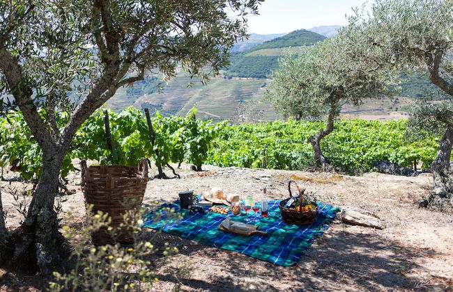 Casa de Casal de Loivos - Photo 43