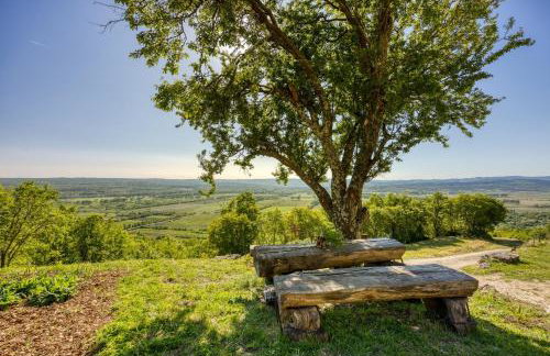 Ferienlandhaus Zvanya - Foto 2