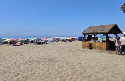 Munilla Family Beach by Del Parque Flats - Photo 37