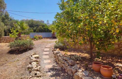 Elysian Rose Residence - Foto 6