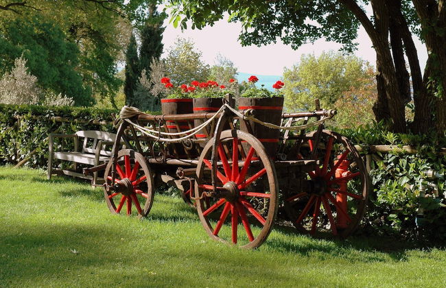 Agriturismo La Riserva Di Montebello - Foto 26