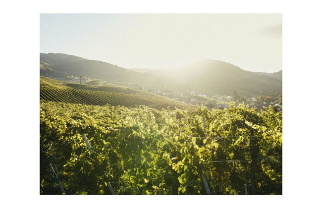 Oma Ludwin 1 Comfortable Holiday Residence - Foto 17