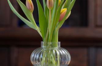 Fewo Freiken 28 Comfortable Holiday Residence - Foto 34