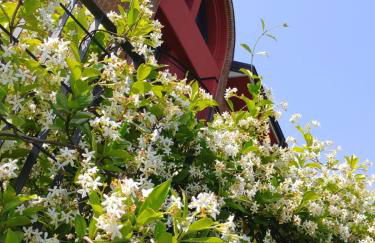 Residence Le Volte Apartments - Photo 51