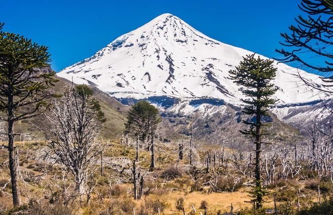 Lanín Volcano Hike - Foto 1