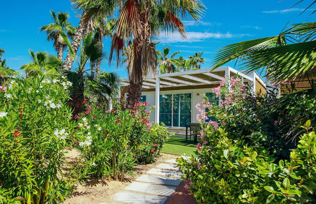 Alannia Costa Blanca Resort - Foto 10