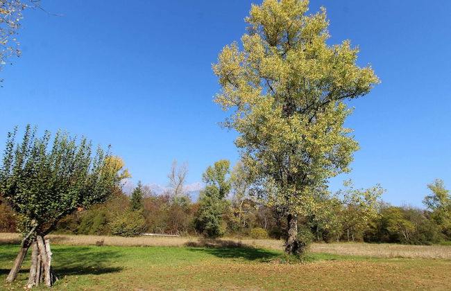 Mountain Hideaway for Four - Foto 21