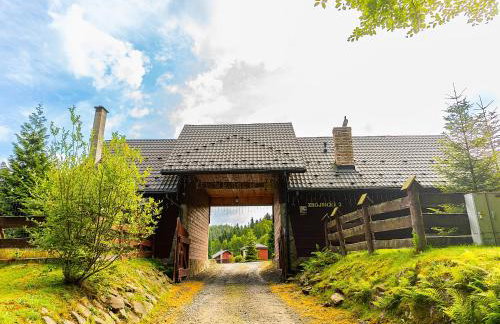 Ośrodek Wczasowy Na Borach - Foto 76