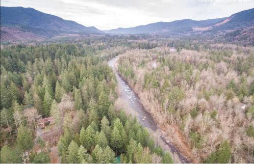 Springbrook · Cozy 2BR Mt. Hood Cabin, Fireplace & Retro Kitchen - Foto 50