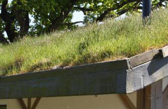 Buzzard's Nest Glamping Walnut - Foto 8