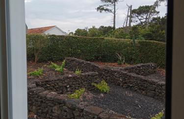 Dream View in Pico - Photo 66