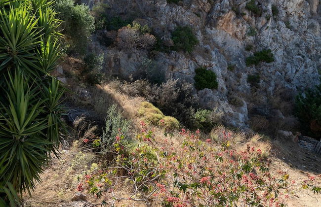 SeaView Flat Near the Beach - Foto 19