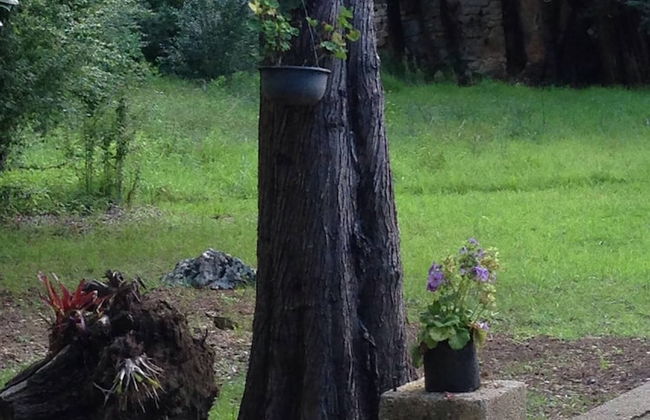 Apartment In San Cristobal De Las Casas, Wifi - Foto 13