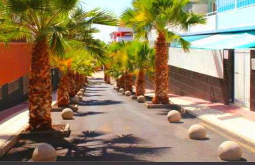 Canela Tenerife Apartment - Foto 37