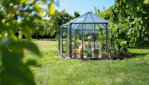 Marita's Gartenparadies - Foto 2, Garden