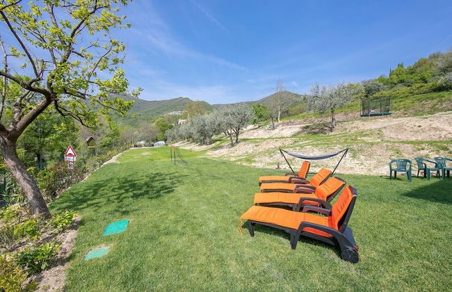 Ricomilla Holiday - Ulivo Innamorato - Foto 22