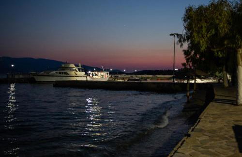 Amaryllis Holiday Home - Photo 75