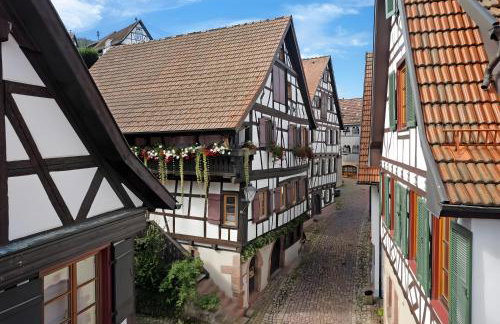 Ferienwohnung im Strumpfweberhaus - Photo 27