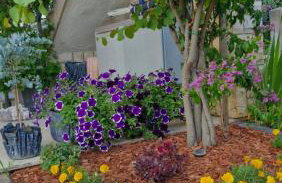 Apartments Mihael and Melani - Foto 9