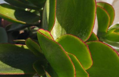 ZEN Minimal Luxury Housing Tyros - Foto 3