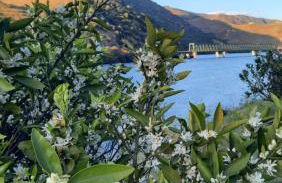 Andar Moradia T4 na Casa do Olival - Foto 35