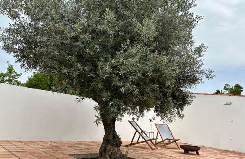 Villa Morena Saltwater Pool & Alentejo Charm - Foto 2