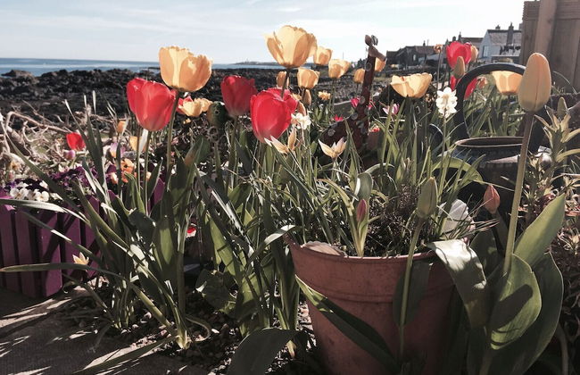 Pew With a View - Seafront Cottages - Foto 40