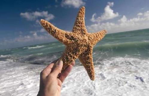 Treasure Island Beach, FL Waterfront Condo Located Steps away from the Intracoastal Waterway - Photo 31