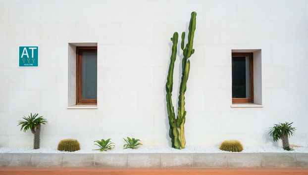 Pierre & Vacances Premium Menorca Binibeca - Foto 3