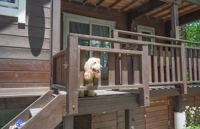 HAL Cottage - Foto 29