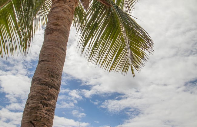 Wave Suítes Hotel & Lounge Bar - Photo 47