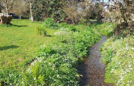 Corvus - Beautiful cottage half a mile from Mousehole - Photo 71