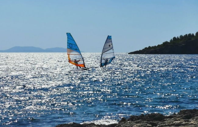 Dino - Gorgeous Garden - SA1 Zavala - Photo 23