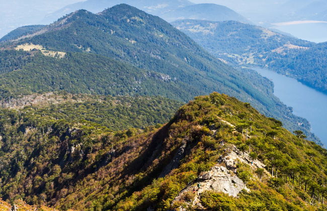 Trekking por el Parque Nacional Huerquehue - Foto 4